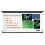 DA-LITE Da-Lite Tensioned Large Cosmopolitan Electrol Projection Screen