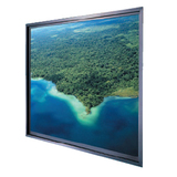 DA-LITE Da-Lite Thru-the-Wall Rear Projection Screen