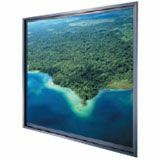 DA-LITE Da-Lite Thru-the-Wall Rear Projection Screen