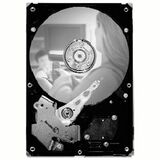 Seagate SV35.2 ST3500630AV Hard Drive - 500GB - 7200rpm - Ultra ATA/100 (ATA-6) - IDE/EIDE - Internal
