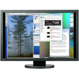 Eizo FlexScan SX3031W Widescreen LCD Monitor - SX3031WBK