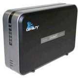 Cavalry CADA001C32A Hard Drive Array - 1TB - 2 x 500GB