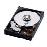 Panasonic 250 GB Plug-in Module Hard Drive