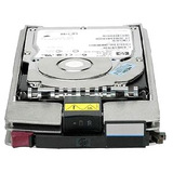 HEWLETT-PACKARD HP 300 GB Internal Hard Drive