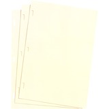 Wilson Jones 901-30 Ledger Sheet