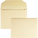 Quality Park Document Envelope