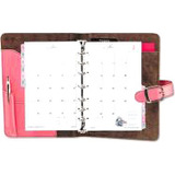 Esselte CutLess Watershed File Folder