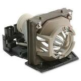 HP Replacement Lamp