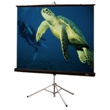 DRAPER, INC. Draper Diplomat Tripod Projection Screen