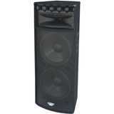 PYLE Pyle PylePro PADH215 Speaker