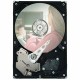 Seagate DB35.4 Series ST3250310CS Hard Drive - 250GB - 7200rpm - Serial ATA/300 - Serial ATA - Internal