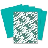 Astro Astrobrights Colored Card Stock WAU22109
