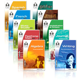 LeapFrog Fly Fusion Journal - 1 User