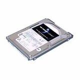 Total Micro Serial ATA Internal Hard Drive - 300GB - Serial ATA - Plug-in Module