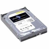 Total Micro Ultra ATA Internal Hard Drive - 250GB - Ultra ATA - IDE/EIDE - Internal
