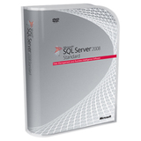 Microsoft SQL Server 2008 Standard Edition - License - 22808404