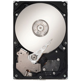 Seagate Barracuda 7200.10 ST3160215AS Hard Drive - 160GB - 7200rpm - Serial ATA/300 - Serial ATA - Internal