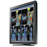 Eizo RadiForce RX211 LCD Monitor - RX211BK