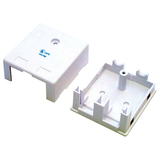 STARTECH.COM StarTech.com Dual Outlet Universal Wall Box - White