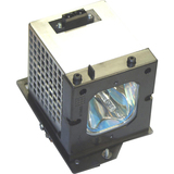 eReplacements Replacement Lamp