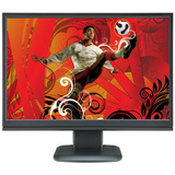V7 D19W12A-N6 Widescreen LCD Monitor - D19W12AN6