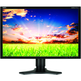 NEC Display MultiSync P221W Widescreen LCD Monitor - P221WBK