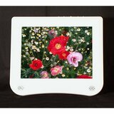 LD118 - Miracle LD118 LCD Monitor - 10.4" - 800 x 600 - 0.206mm - 300:1 - Ivory-LD118