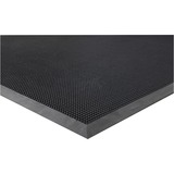Genuine Joe Double Door Brush Tip Scraper Mat