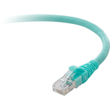 GENERIC Belkin Cat. 6a Patch Cable
