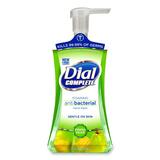 2934 - Dial Complete Foaming Hand Soap