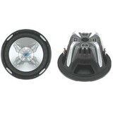 Power Acoustik P2-10W Woofer