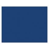 Pacon Peacock Poster Board With UPC Labels - 54654