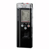 Panasonic RR-US590 2GB Digital Voice Recorder - 2GB Flash Memory - Portable - RRUS590