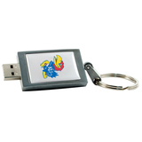 Centon 4GB DataStick Keychain University of Kansas USB 2.0 Flash Drive