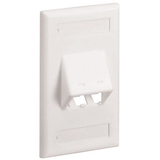 PANDUIT CORPORATION PANDUIT 2-Socket Faceplate