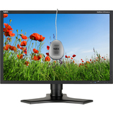 NEC Display MultiSync LCD2490W2-BK-SV Widescreen LCD Monitor