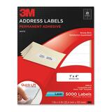 3M Address Label MMM3100E