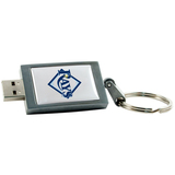 Centon 2GB DataStick Keychain Tampa Bay Rays USB 2.0 Flash Drive