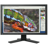 Eizo ColorEdge CG243W 24" LCD Monitor - CG243WBK