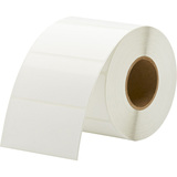Primera TuffCoat Extreme Multipurpose Label - 4 Width x 2 Length