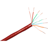 CP TECH Category 5e Network Cable - 1000 ft - Red
