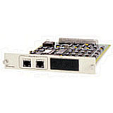 1202350L1 - Adtran TSU NetVanta Router Module
