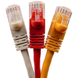 Cables Unlimited Category 6 Network Cable - 36' - Orange