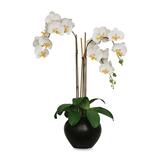 Baumgartens 98048 Elegant Orchid Artificial Plant with Ceramic Pot