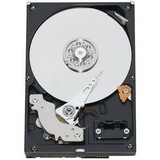 WD8000AARS/20PK - Western Digital Caviar Green WD8000AARS 800 GB 3.5" Internal Hard Drive - 20 Pack