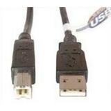 d-link usb cable - 1 x type a male - 1 x type b male - 6ft  d-link systems, inc 10158329 dub-c2ab connector cables 0790069255748 dlidubc2ab 63213h dubc2ab 974811 dubc2ab 10347145 dubc2ab 26121600 833110 10164408 DUBC2AB