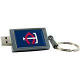 Centon DataStick Keychain Minnesota Twins Edition Flash Drive - 4 GB