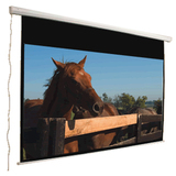 MUSTANG Mustang SC-E120D169 Electric Projection Screen