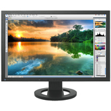 EIZO BY NANAO Eizo ColorEdge CG223W 22