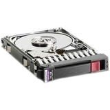 IBM 49Y1856 300 GB Internal Hard Drive